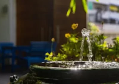 Expert Landscaping Contractor
