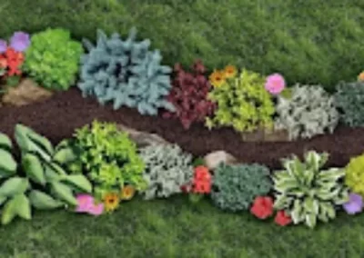 Expert Landscaping Services