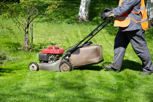 Reliable Landscape Maintenance Professional Landscape Maintenance