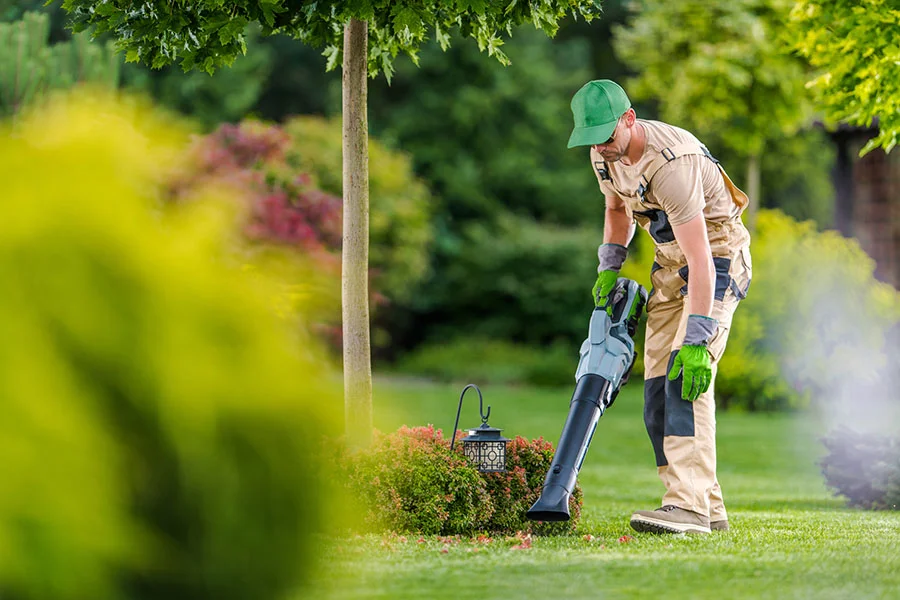 How to Clean Up Leaves in the Yard Ojai, CA