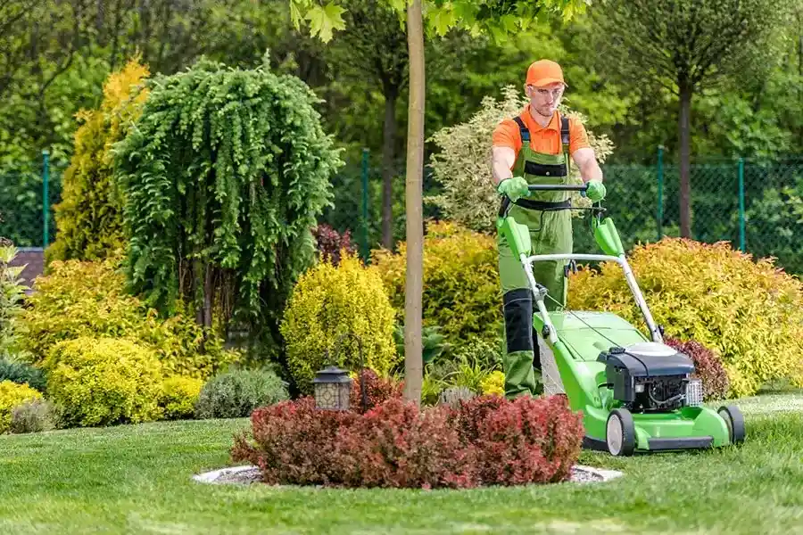 How to Clean Up Leaves in the Yard in Ojai, CA