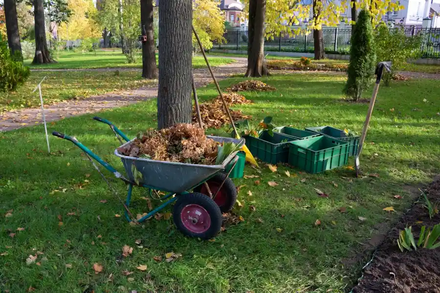 What Does Yard Cleanup Include in Ojai, CA